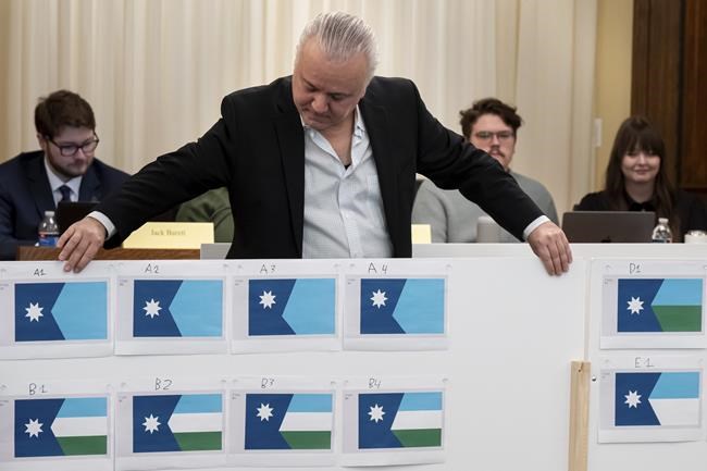 Minnesota panel chooses new state flag featuring North Star to replace old flag seen as racist | iNFOnews.ca