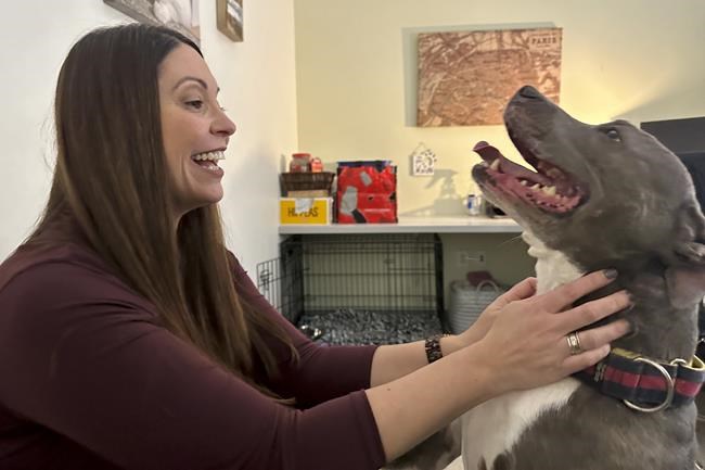 America's animal shelters are overcrowded with pets from families facing economic and housing woes | iNFOnews.ca America's animal shelters are overcrowded with pets from families facing economic and housing woes | iNFOnews.ca