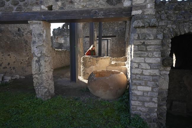 Pompeii's ancient art of textile dyeing is revived to show another side of life before eruption | iNFOnews.ca