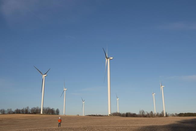Quebec introducing new rule to reduce bat deaths linked to wind farms | iNFOnews.ca Quebec introducing new rule to reduce bat deaths linked to wind farms | iNFOnews.ca