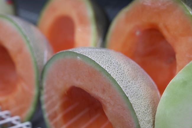 Canadian death toll in cantaloupe salmonella outbreak rises to seven | iNFOnews.ca