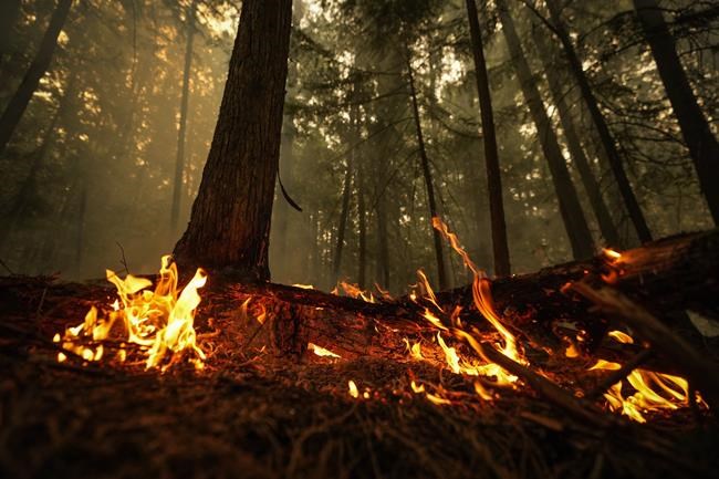 University researchers confirm fire-generated tornado over B.C. lake in viral video | iNFOnews.ca