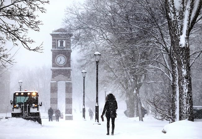 Wisconsin university chancellor says he was fired for producing and appearing in porn videos | iNFOnews.ca