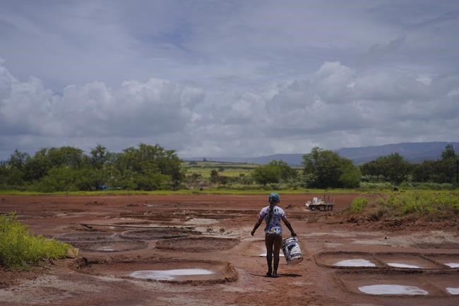 How Native familes make salt at one of Hawaii's last remaining salt patches | iNFOnews.ca How Native familes make salt at one of Hawaii's last remaining salt patches | iNFOnews.ca