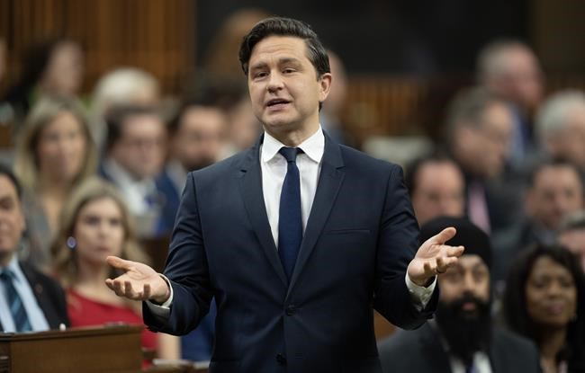 Liberals pick candidate for O'Toole byelection who first tried running for Tories | iNFOnews.ca Liberals pick candidate for O'Toole byelection who first tried running for Tories | iNFOnews.ca