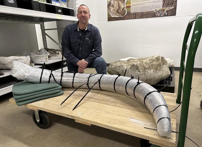 Coal miners in North Dakota unearth a mammoth tusk buried for thousands of years | iNFOnews.ca Coal miners in North Dakota unearth a mammoth tusk buried for thousands of years | iNFOnews.ca