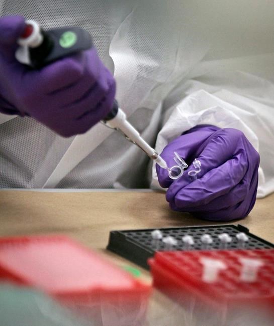 B.C. police secretly took DNA from Kurdish community in tea-cup sting to solve murder | iNFOnews.ca B.C. police secretly took DNA from Kurdish community in tea-cup sting to solve murder | iNFOnews.ca