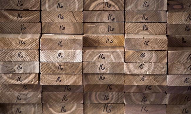 Trade minister cites housing shortage as cause for ceasefire in U.S. softwood spat | iNFOnews.ca