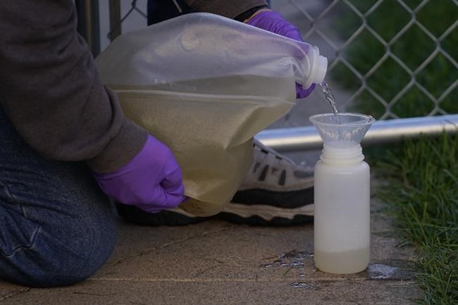 Wastewater tests can find mpox, study finds. Expect more bugs to be tracked that way | iNFOnews.ca