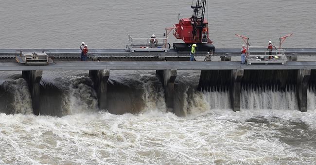 Lawsuit seeks to protect dolphins if flood-control spillway is used near New Orleans | iNFOnews.ca