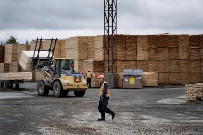Increase in U.S. softwood lumber duties 'entirely unwarranted,' trade minister says | iNFOnews.ca Increase in U.S. softwood lumber duties 'entirely unwarranted,' trade minister says | iNFOnews.ca