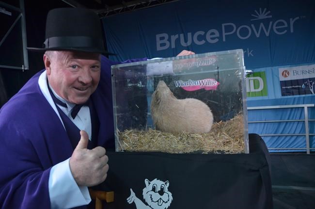 Groundhog Day: Canada's famous furry forecasters predict early spring | iNFOnews.ca
