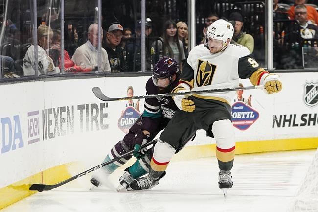 Flames claim defenceman Brayden Pachal off waivers from Golden Knights | iNFOnews.ca Flames claim defenceman Brayden Pachal off waivers from Golden Knights | iNFOnews.ca