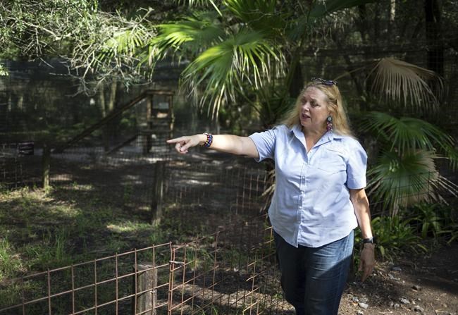 Tiger King's Carole Baskin asks Florida Supreme Court to review defamation lawsuit ruling | iNFOnews.ca Tiger King's Carole Baskin asks Florida Supreme Court to review defamation lawsuit ruling | iNFOnews.ca