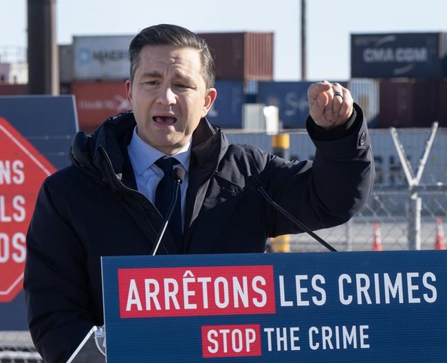 Auto theft: Poilievre would improve screening, add more staff at country's ports | iNFOnews.ca Auto theft: Poilievre would improve screening, add more staff at country's ports | iNFOnews.ca