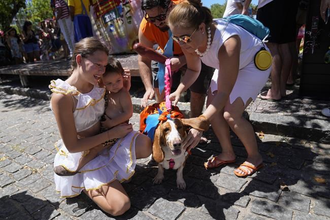 Dogs in glittery costumes parade in Rio de Janeiro as pet lovers kick off Carnival | iNFOnews.ca Dogs in glittery costumes parade in Rio de Janeiro as pet lovers kick off Carnival | iNFOnews.ca