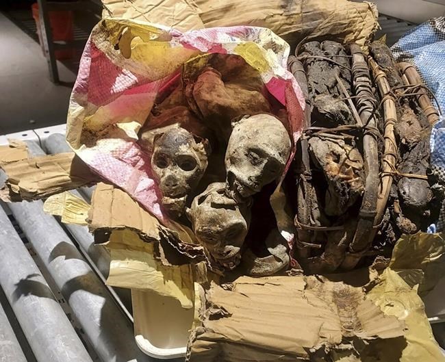 CBP dog sniffs out something unusual in passenger's luggage - mummified monkeys | iNFOnews.ca CBP dog sniffs out something unusual in passenger's luggage - mummified monkeys | iNFOnews.ca