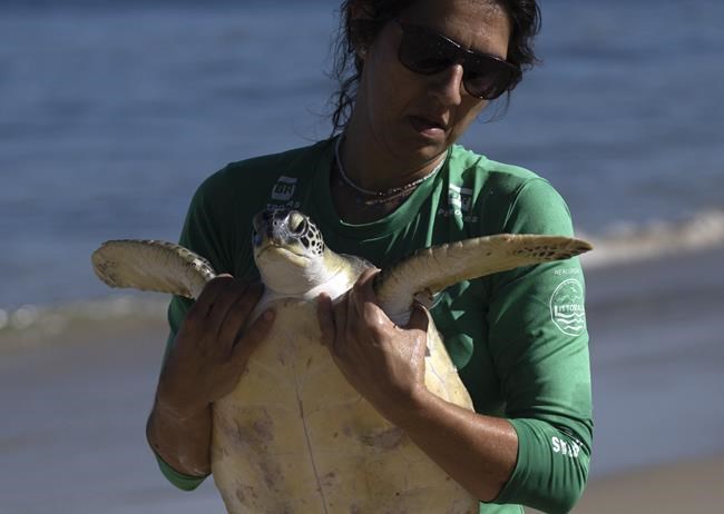 Nearly half of the world’s migratory species are in decline, UN report says | iNFOnews.ca Nearly half of the world’s migratory species are in decline, UN report says | iNFOnews.ca