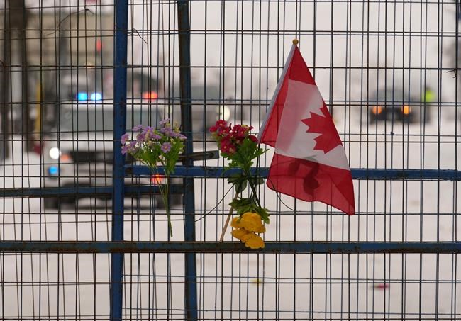 Evolving 'Freedom' movement fighting perceptions of 'government overreach': CSIS | iNFOnews.ca