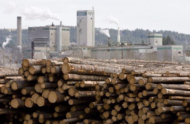 West Fraser Timber loses US$153 million in fourth quarter, sales soften | iNFOnews.ca