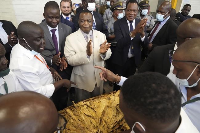 Zimbabwe's vice president says the government will block a scholarship for LGBTQ+ people | iNFOnews.ca