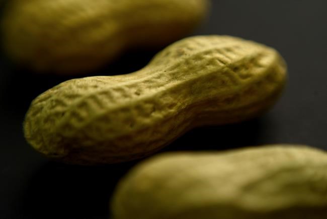 FDA expands use of asthma drug Xolair to treat severe food allergies | iNFOnews.ca