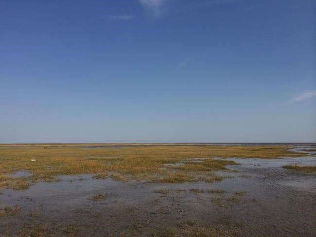 Marine area larger than Lake Superior could soon be protected off Ontario's shores | iNFOnews.ca