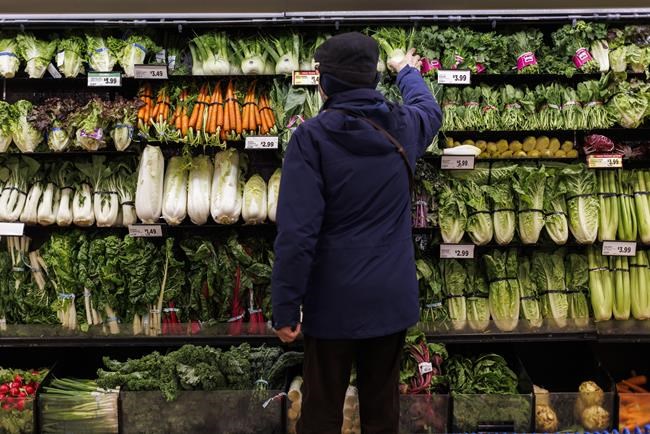 Canadians' grocery shopping habits increasingly driven by discounts and deals: report | iNFOnews.ca Canadians' grocery shopping habits increasingly driven by discounts and deals: report | iNFOnews.ca