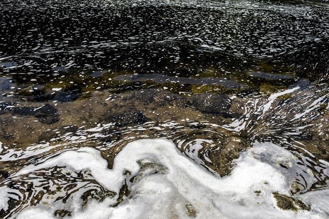 Wisconsin lawmakers OK bill to tackle forever chemicals pollution, but governor isn't on board | iNFOnews.ca
