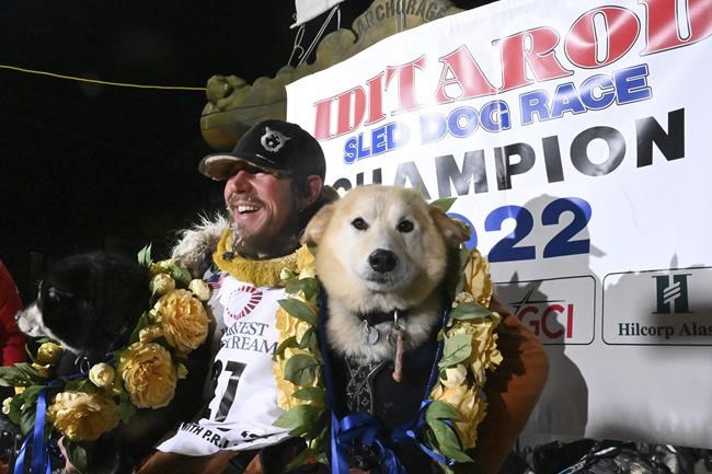 Assault claims roil Iditarod sled dog race as 2 top mushers are disqualified, then 1 reinstated | iNFOnews.ca