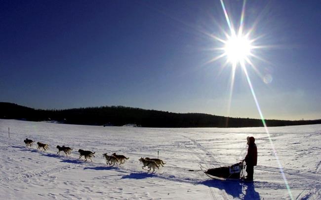 Lack of snow cancels longest sled dog race in eastern United States | iNFOnews.ca Lack of snow cancels longest sled dog race in eastern United States | iNFOnews.ca