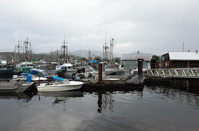 B.C. First Nation sues federal government over ban on herring spawn fishery | iNFOnews.ca B.C. First Nation sues federal government over ban on herring spawn fishery | iNFOnews.ca