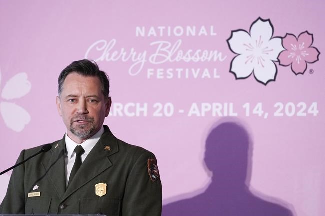 A sure sign of spring: The iconic cherry trees in the nation's capital will soon begin to bloom | iNFOnews.ca