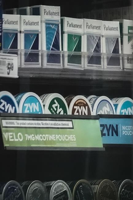Zyn nicotine pouches are all over TikTok, sparking debate among politicians and health experts | iNFOnews.ca