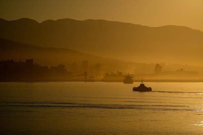 Man arrested in Port Moody, B.C., after driving car into sea for video livestream | iNFOnews.ca Man arrested in Port Moody, B.C., after driving car into sea for video livestream | iNFOnews.ca