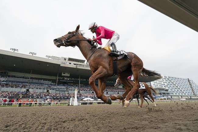 Canadian Triple Crown opens with King's Plate on Aug. 17 at Woodbine Racetrack | iNFOnews.ca Canadian Triple Crown opens with King's Plate on Aug. 17 at Woodbine Racetrack | iNFOnews.ca