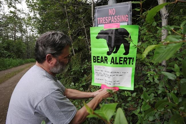 Floridians can 'stand their ground' and kill threatening bears under bill going to DeSantis | iNFOnews.ca Floridians can 'stand their ground' and kill threatening bears under bill going to DeSantis | iNFOnews.ca