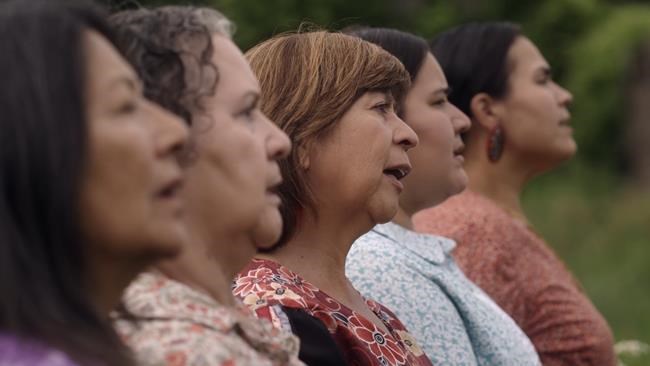 Films about Indigenous influences, declawing cats among Hot Docs world premieres | iNFOnews.ca Films about Indigenous influences, declawing cats among Hot Docs world premieres | iNFOnews.ca