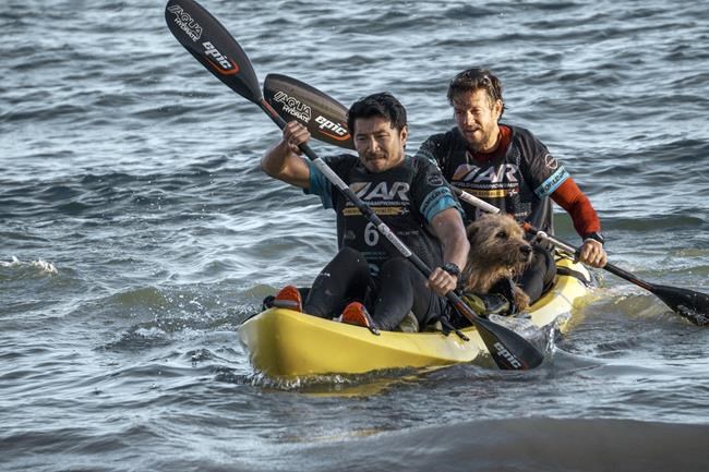 Movie Review: Man and dog and adventure racing in ‘Arthur the King’ | iNFOnews.ca