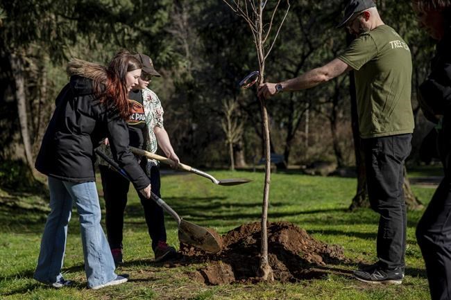 Oregon county plants trees to honor victims of killer 2021 heat wave | iNFOnews.ca
