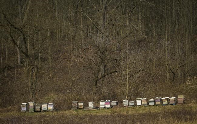New York moves to update its fracking ban to include liquid carbon-dioxide as well as water | iNFOnews.ca New York moves to update its fracking ban to include liquid carbon-dioxide as well as water | iNFOnews.ca