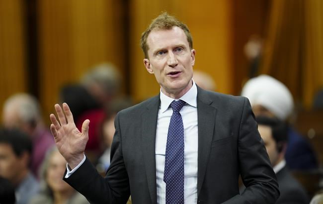 Motion on Israel-Hamas war will have consequences for asylum seekers in Gaza: Miller | iNFOnews.ca