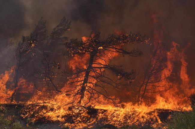 Greek authorities overhaul wildfire response plans ahead of summer fire season | iNFOnews.ca