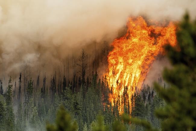 Early ban on open burning across northeastern B.C., starting March 28 | iNFOnews.ca Early ban on open burning across northeastern B.C., starting March 28 | iNFOnews.ca
