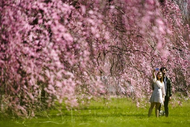 The US may catch a spring break on weather. Forecasters see minimal flooding and drought for spring | iNFOnews.ca The US may catch a spring break on weather. Forecasters see minimal flooding and drought for spring | iNFOnews.ca