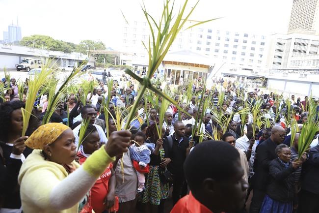 What is Palm Sunday? Why is the donkey important to the story? And how is it celebrated worldwide? | iNFOnews.ca What is Palm Sunday? Why is the donkey important to the story? And how is it celebrated worldwide? | iNFOnews.ca