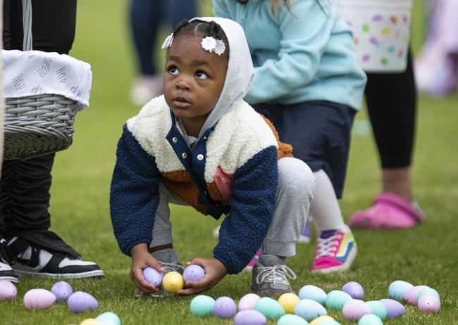 Bird flu, weather and inflation conspire to keep egg prices near historic highs for Easter | iNFOnews.ca Bird flu, weather and inflation conspire to keep egg prices near historic highs for Easter | iNFOnews.ca