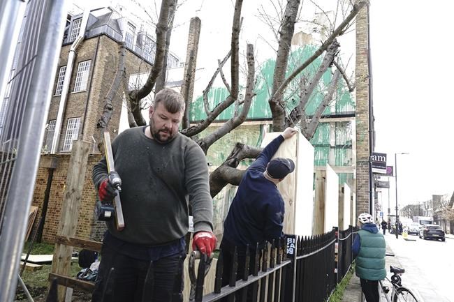Banksy tree mural that sprouted in London is fenced off after apparent vandalism | iNFOnews.ca