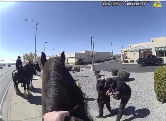 Shoplifter chased by police on horses in New Mexico, video shows | iNFOnews.ca