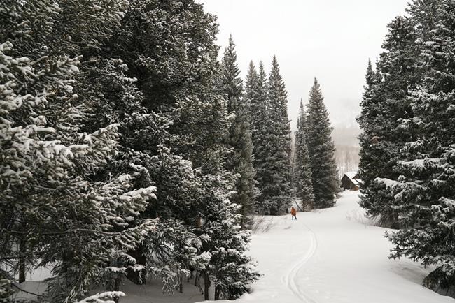 Citizen scientist measured Rockies snowfall for 50 years. Two new hips help him keep going | iNFOnews.ca